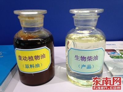 地溝油搖身一變清潔能源獲市民點贊