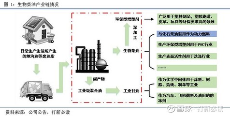 卓越新能688196估值分析--國內(nèi)生物柴油龍頭