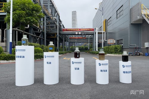 地溝油如何變生物柴油 央廣網記者實地探訪揭秘