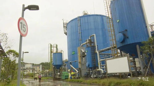 黔江 餐廚垃圾實現綠色循環