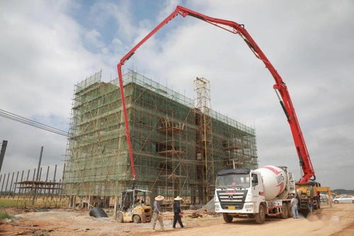 重磅 桂平生物柴油 狀元山旅游等5大項目將迎來新變化