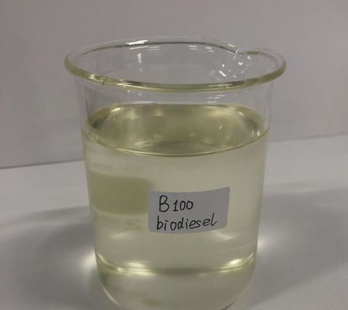 石油危機解除 科學家發現 石油樹 ,每棵樹能生產幾十升柴油