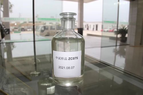 東北中石油國際事業公司考察調研盤錦鵬鷂二代生物柴油項目