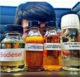 定居荷蘭9年毅然回國,他讓萬人厭的 地溝油 變生物燃料,飛機都能用