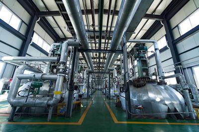 自主創新引領 產業格局初現--我國生物柴油產業發展路徑分析(上)