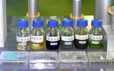 中國利用藻類對抗全球變暖令世界矚目-綠色頻道