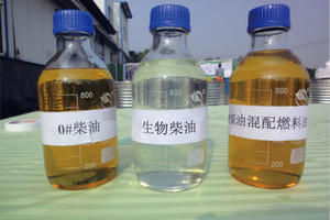 酶的固定化及在生物柴油