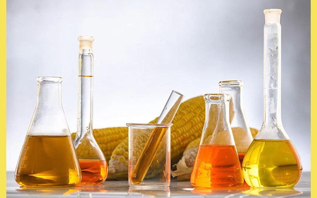 用地溝油提煉出的生物柴油,既環保還能減少廢棄物的排放#紀.