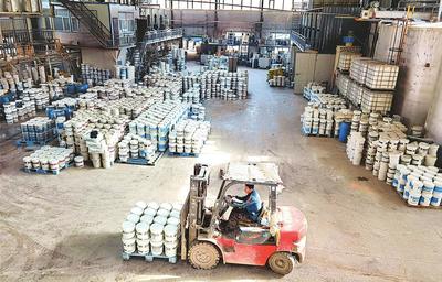 新項目快馬加鞭 老產業穩步推進