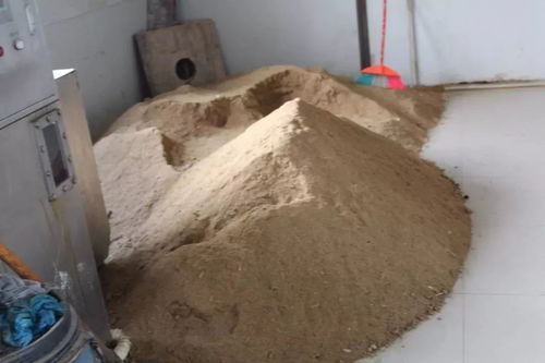 今天的垃圾分類了嗎 新設備助力垃圾分類再利用