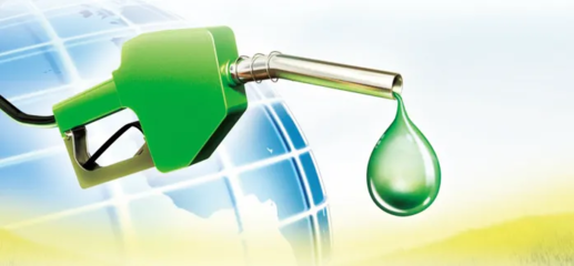 以出口為主的生物柴油市場結構或當調整