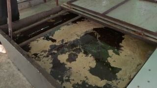 廢棄油脂 變廢為寶