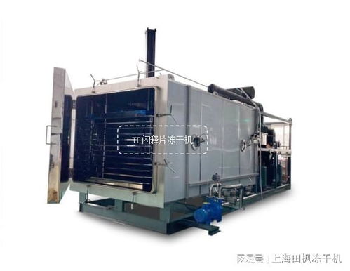 凍干閃釋片加工流程和閃釋片凍干機生產線