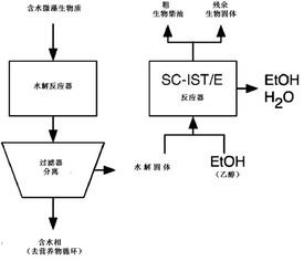 從微藻生物質直接生產生物柴油的新工藝可望減少能量和操作成本