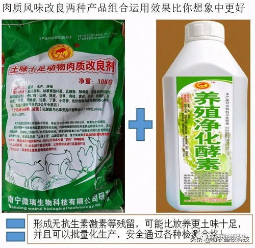 生產土味十足高品質豬肉的幾個關鍵措施與實戰操作