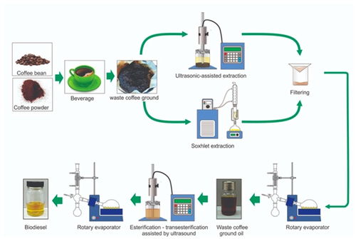 邁向循環經濟 咖啡渣在生物制品和化學品生產中的潛力 mdpi biomass