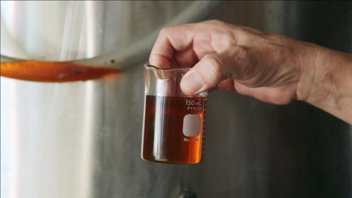 惹人嫌的地溝油在國外比柴油還貴 環保又不傷發動機,你敢用不