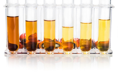 棕櫚油生物燃料生物柴油與白色背景上的測試管