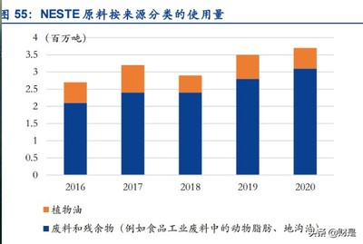 生物柴油龍頭卓越新能研究報告