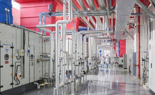 乘勢而上 云南打造生物制品產業高地——搶抓疫苗、血液制品與生物柴油戰略機遇期