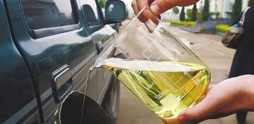 二代生物柴油技術成熟，如何精準把握市場機遇？