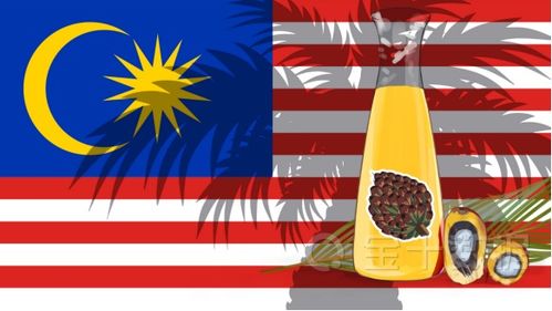 印尼棕櫚油政策突變 生物柴油推動漲價與額外收費的背后