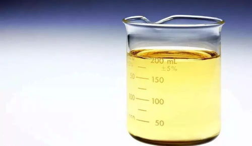 地溝油變廢為寶 上海試點加注生物柴油的綠色革命