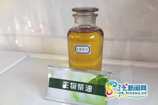 三亞餐廚廢棄物處理項目竣工投產 日處理能力達100噸