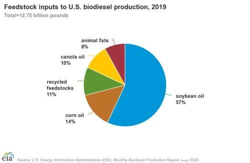 從可再生能源到生物柴油 可持續能源的新篇章