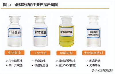 生物柴油行業專題報告 減碳大勢難逆，賽道光華漸顯