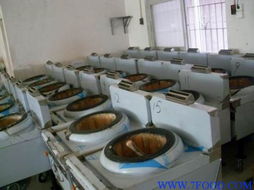 醇基電子打火爐頭灶 生物柴油時代下的便攜烹飪革新