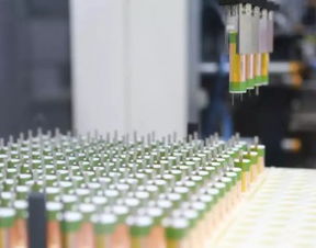 新能源浪潮下的生物柴油 技術、政策與可再生能源發展