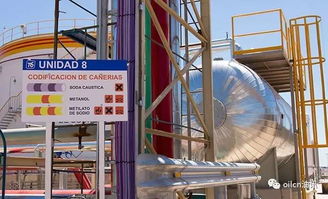 從“多大才算大”到能源未來——探尋全球與中國最大的油廠及生物柴油發展