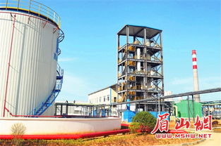 眉山生物柴油生產線投產 引領綠色能源新篇章，助力碳中和目標