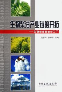 生物柴油產業鏈的開拓 從煉油化工廠到綠色能源未來
