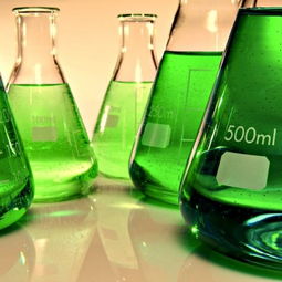 變廢為寶 科研團隊引領微藻轉化廢油為綠色生物柴油新突破