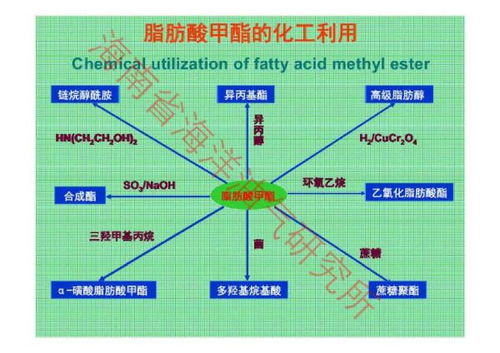 生物柴油技術 通往綠色能源未來的發展前景與挑戰