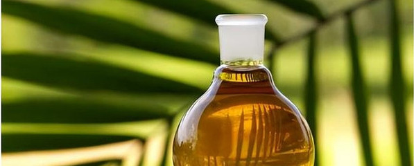 國家出手！政策東風勁吹，生物柴油產業迎來黃金發展期